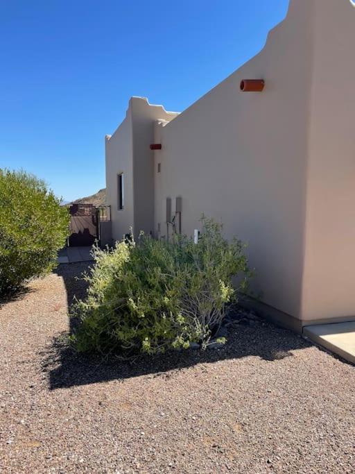 Вилла Tucson Mnt Foothills Saguaro Bliss Экстерьер фото