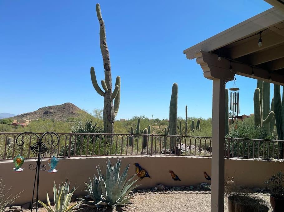 Вилла Tucson Mnt Foothills Saguaro Bliss Экстерьер фото