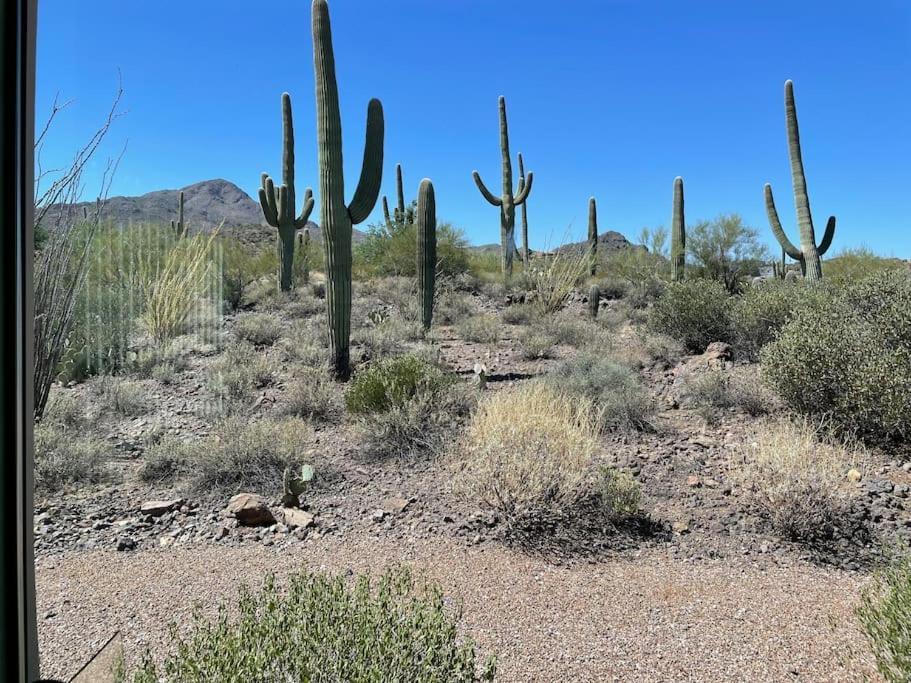 Вилла Tucson Mnt Foothills Saguaro Bliss Экстерьер фото