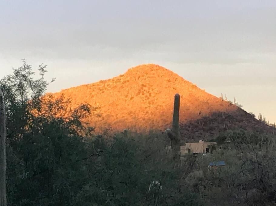 Вилла Tucson Mnt Foothills Saguaro Bliss Экстерьер фото