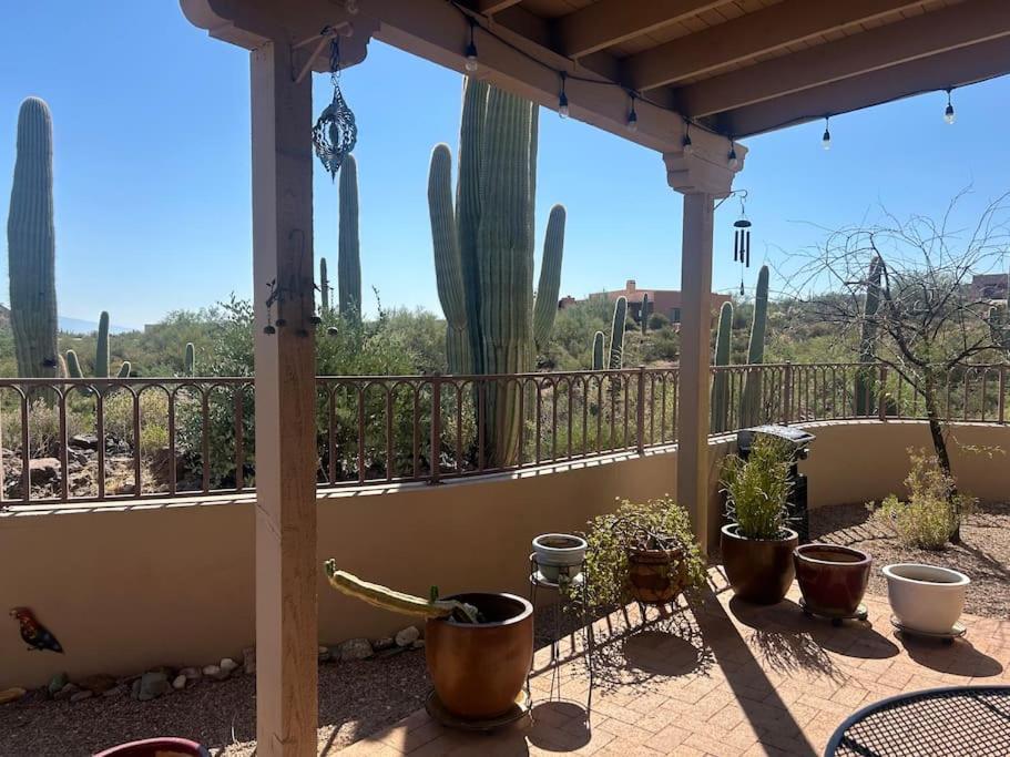 Вилла Tucson Mnt Foothills Saguaro Bliss Экстерьер фото
